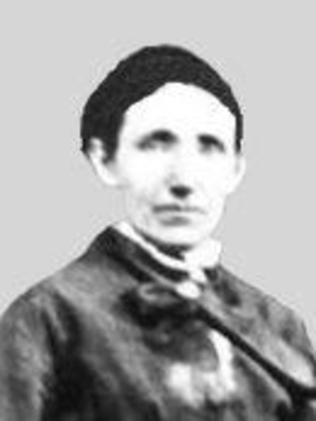 Harriet Armelia Berry (1831 - 1884) Profile